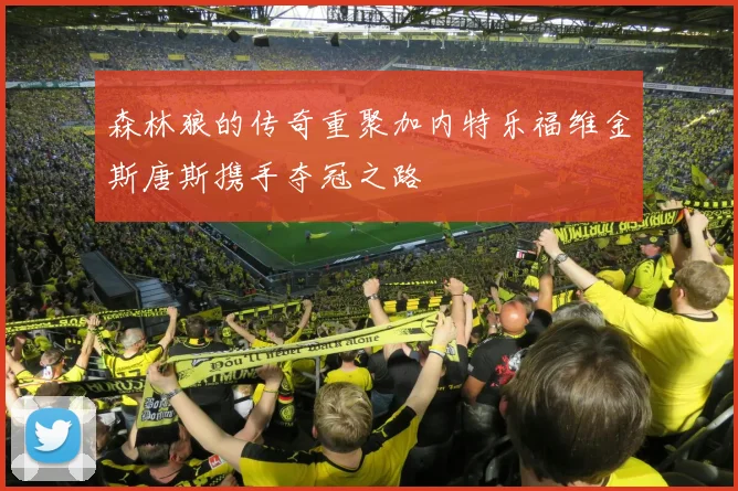森林狼的传奇重聚加内特乐福维金斯唐斯携手夺冠之路